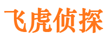 武陵外遇取证